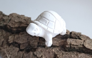 Mini Schildkröte