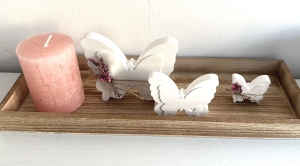 Schmetterling Set